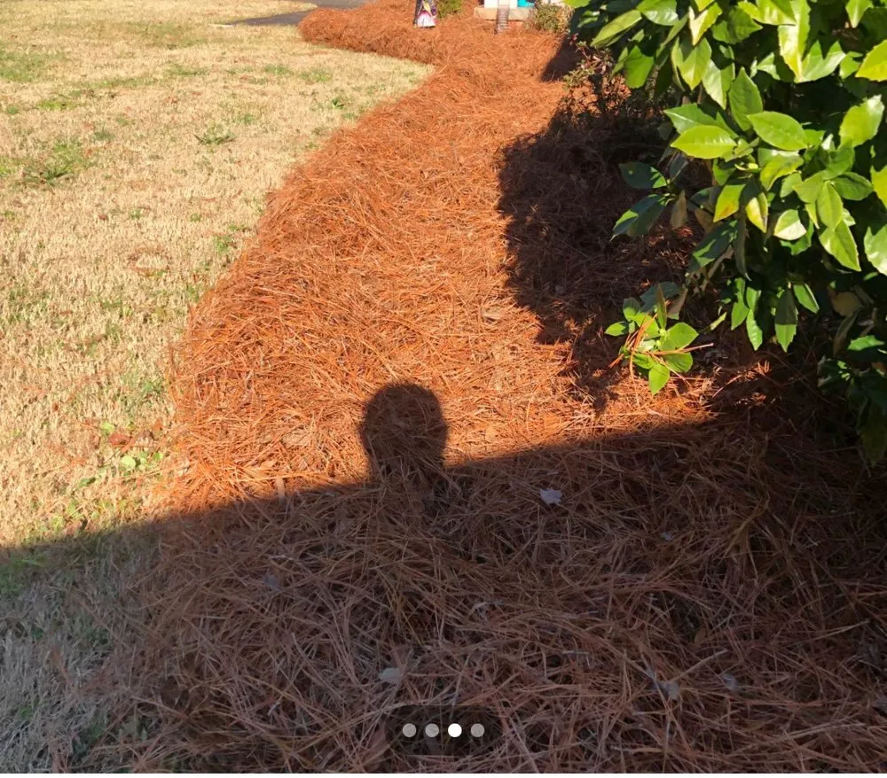 Professional garden landscaping experts serving Pageland, SC - Ruiz Lawn Care Service