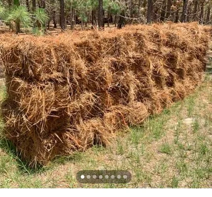 Ruiz Lawn Care Service