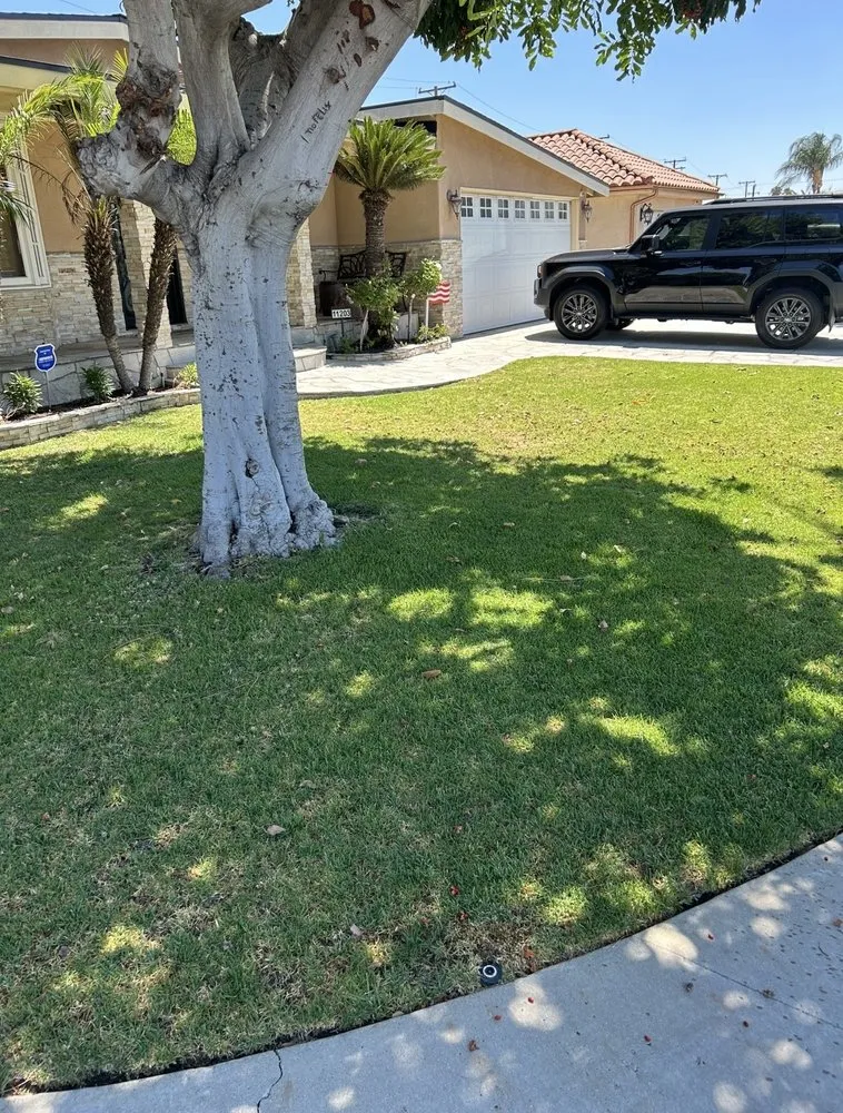 Custom yard maintenance experts serving Whittier, CA - Ruiz Lawn Mowing Service