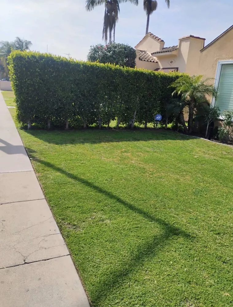Custom yard cleanup service in Whittier, CA - Ruiz Lawn Mowing Service