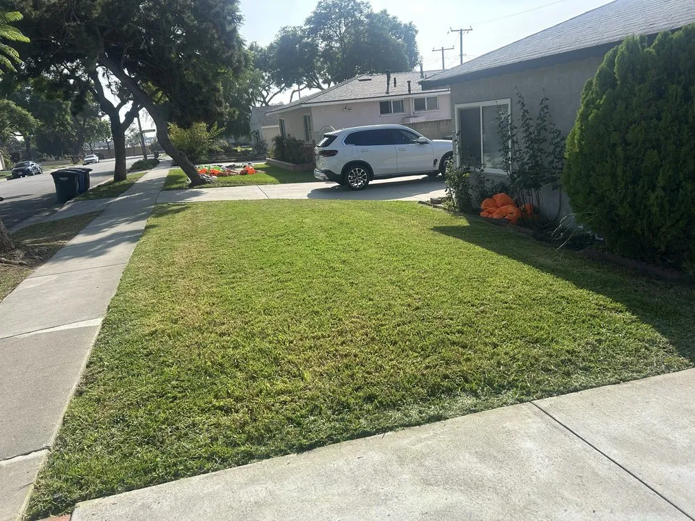 Expert garden landscaping in Whittier, CA by Ruiz Lawn Mowing Service