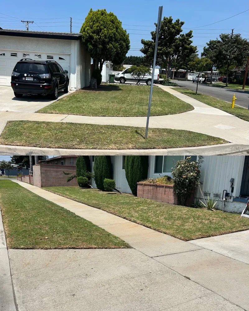 Local yard maintenance in Whittier, CA - Ruiz Lawn Mowing Service