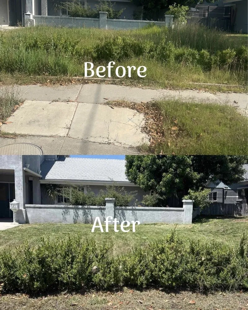 Custom lawn care service experts serving Whittier, CA - Ruiz Lawn Mowing Service