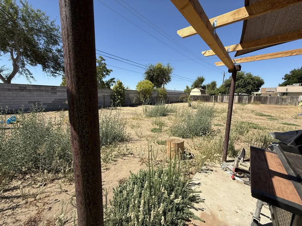 Professional yard maintenance in Fresno, CA - Ruiz Lawn Service