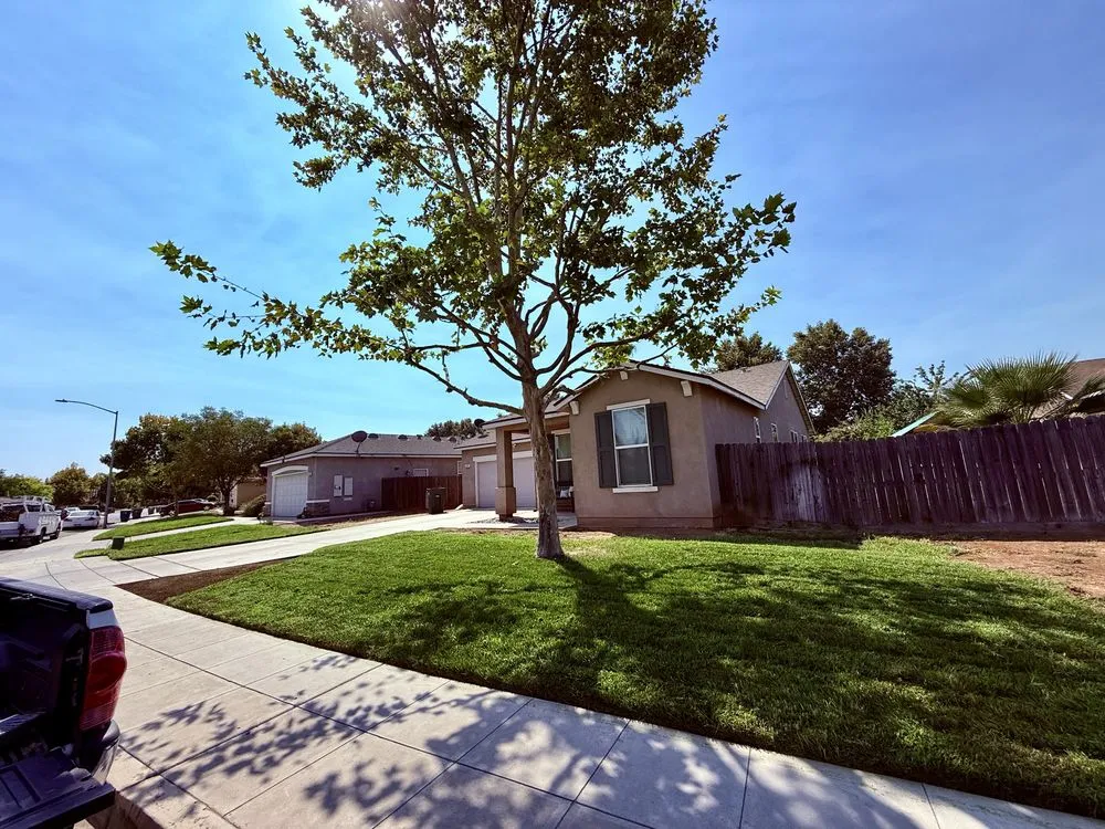 Affordable yard cleanup service experts serving Fresno, CA - Ruiz Lawn Service