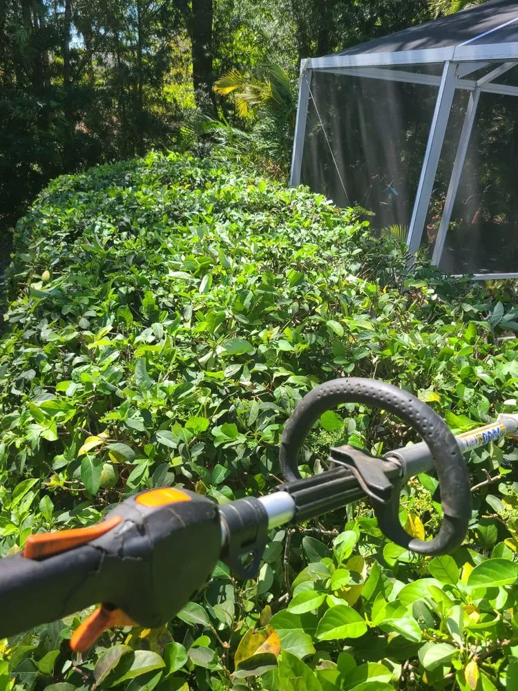 Top-rated landscape installation in Sarasota, FL - Ruiz Lawncare and Landscaping