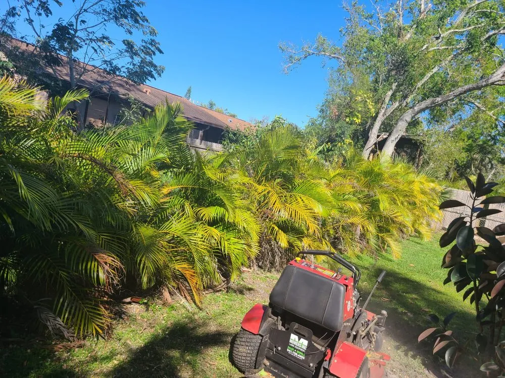 Professional landscaping services for homes across Sarasota, FL - Ruiz Lawncare and Landscaping