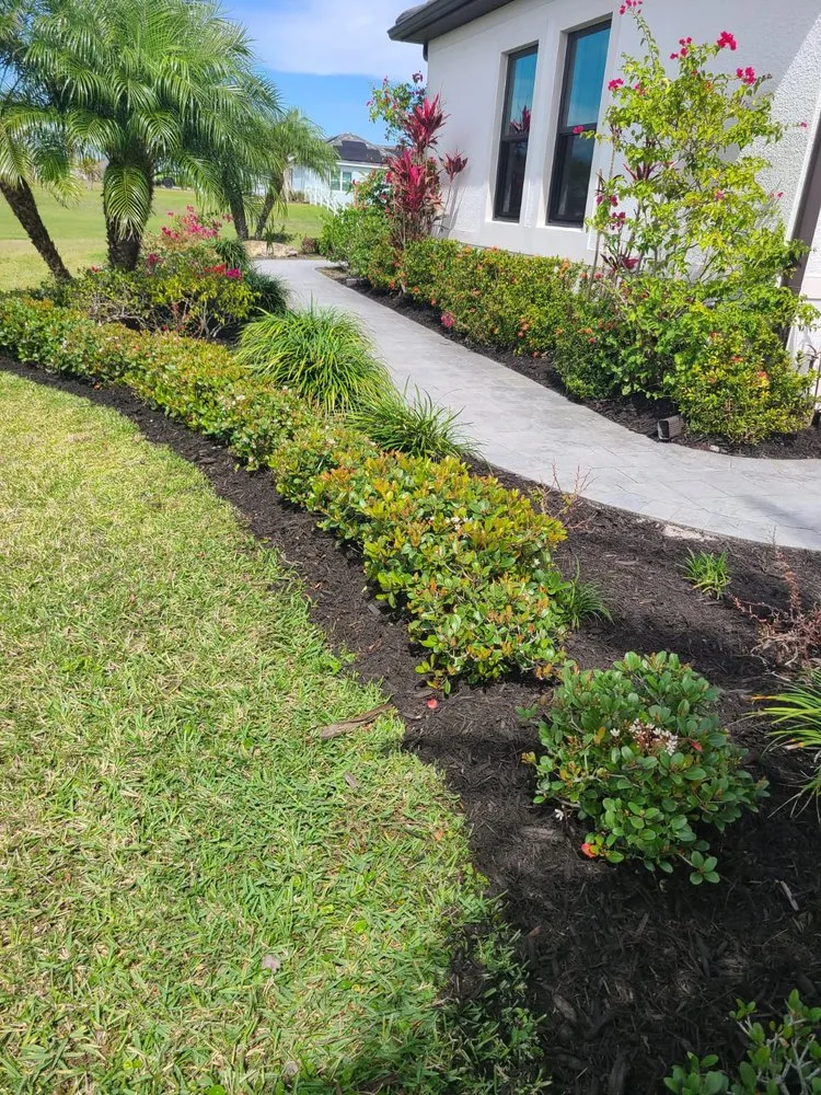 Expert yard maintenance experts serving Sarasota, FL - Ruiz Lawncare and Landscaping