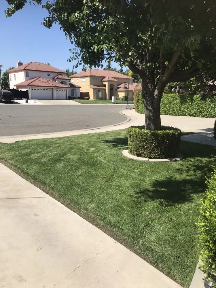 Reliable landscape installation for homes across Oroville, CA - Ruiz Maintenance