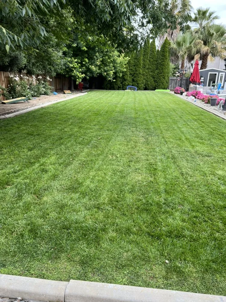 Local lawn care service in Oroville, CA - Ruiz Maintenance