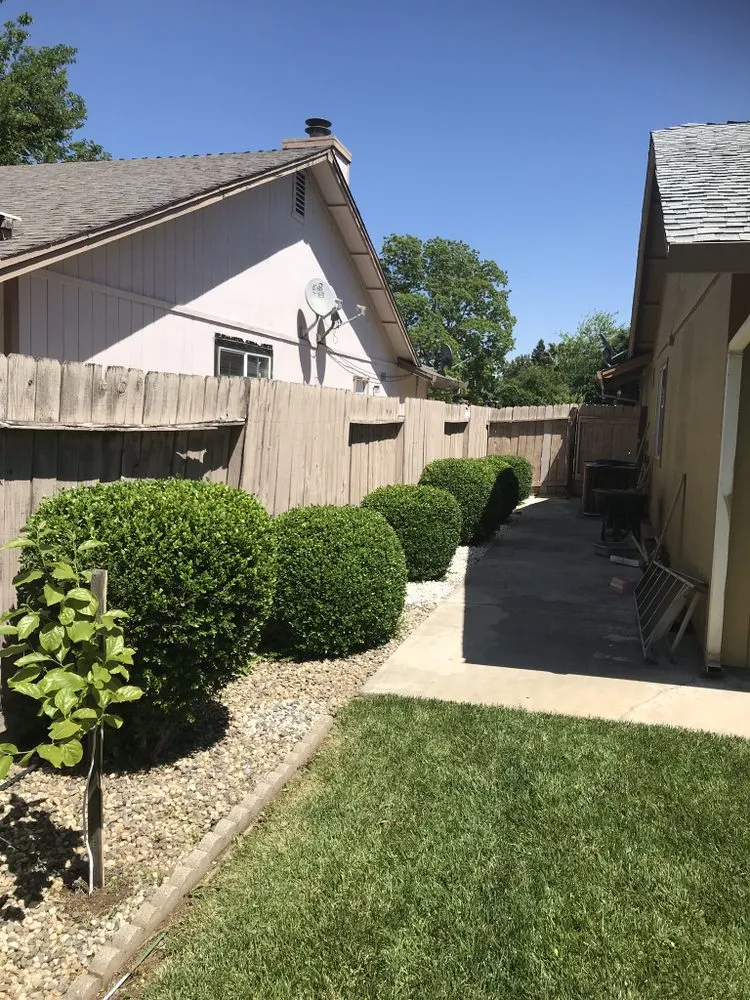Top-rated garden landscaping in Oroville, CA by Ruiz Maintenance