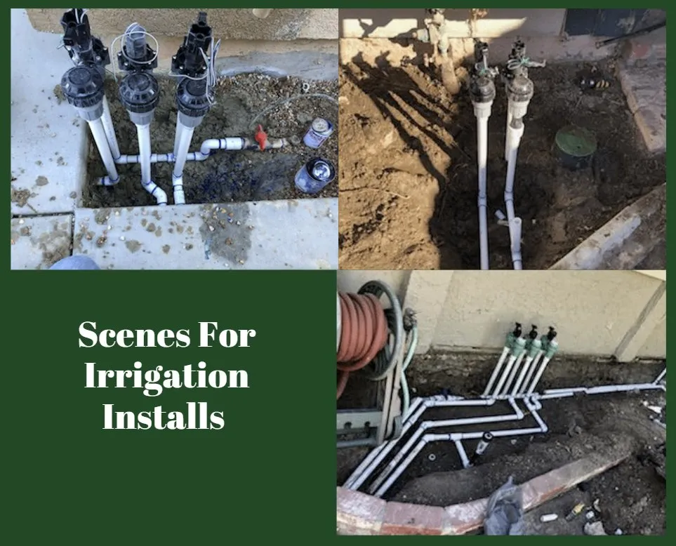 Professional yard maintenance experts serving Lancaster, CA - Ruiz Services and Maintenance