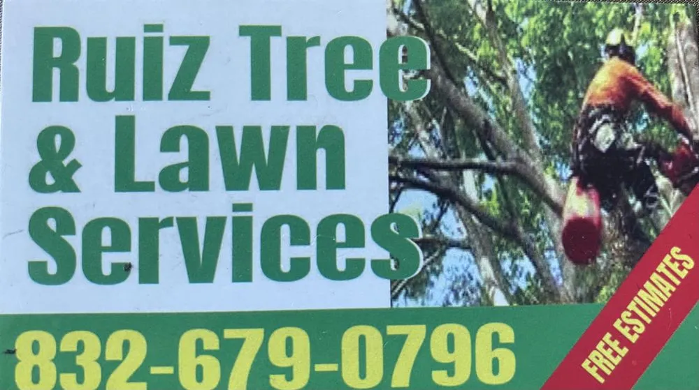Top-rated residential landscaping experts serving Cleveland, TX - Ruiz Tree & Lawn Services