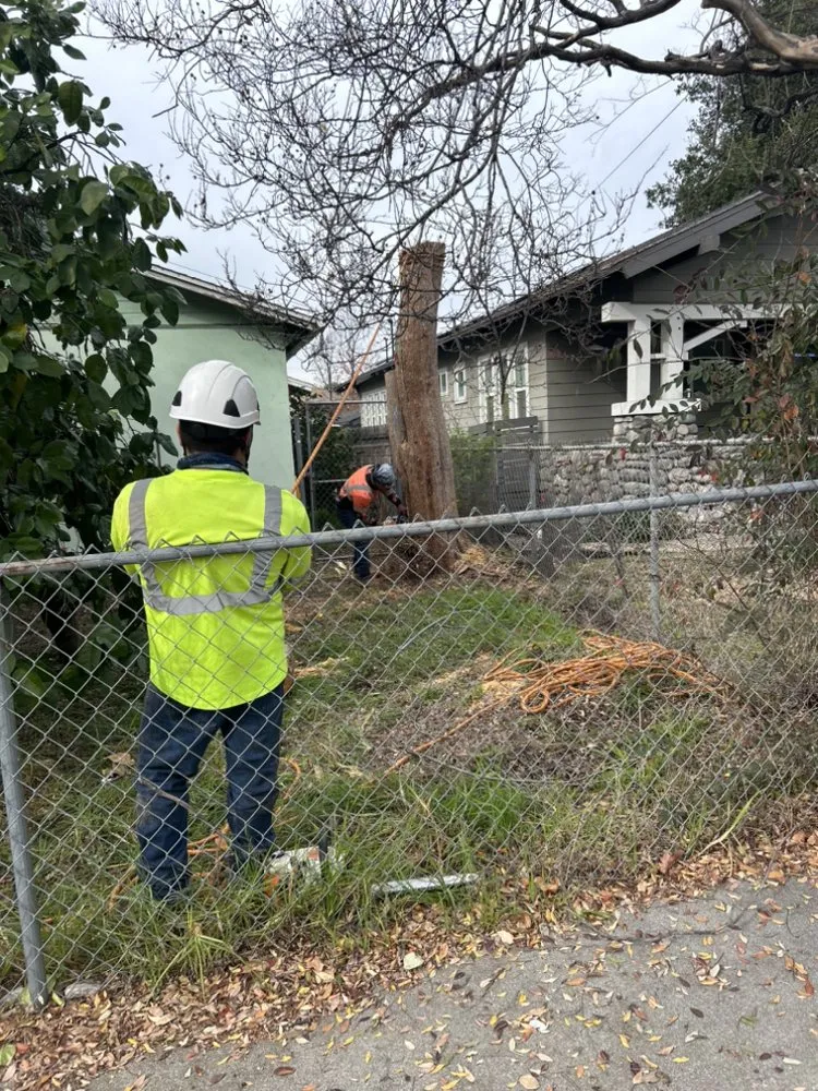 Reliable landscape design in San Gabriel, CA - Ruiz Tree And Concrete Service