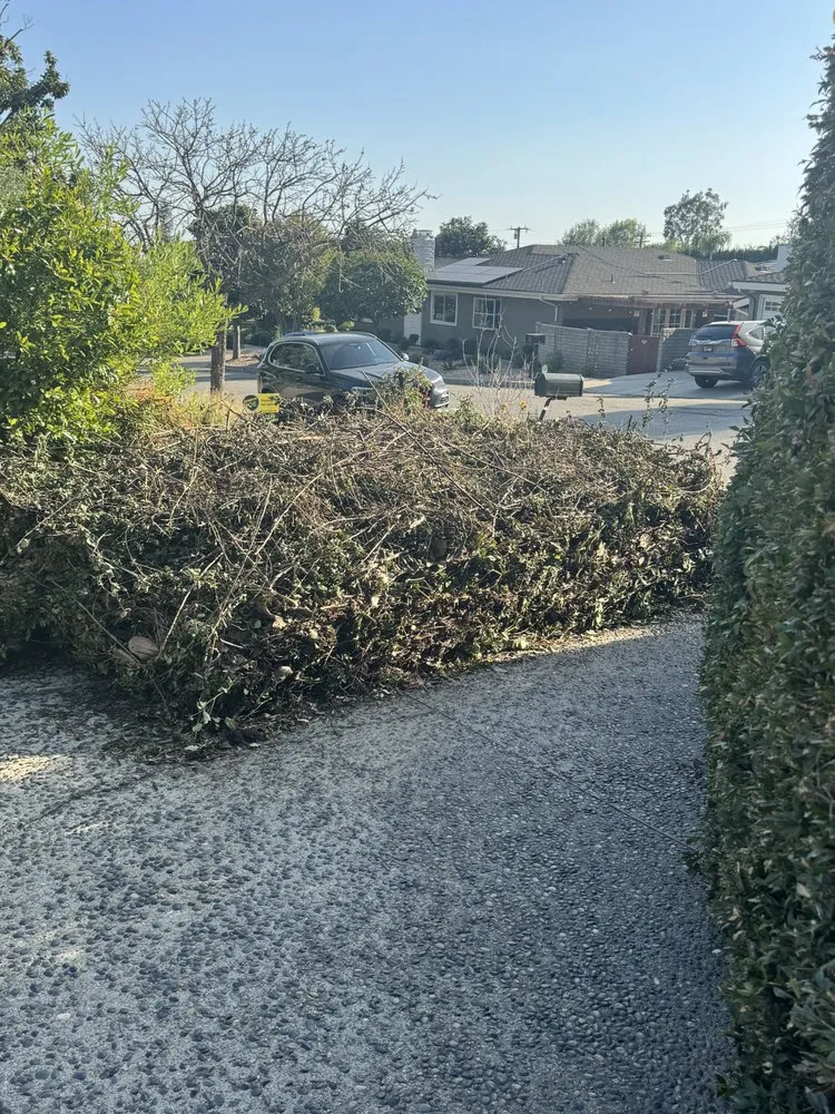 Custom lawn care service in San Gabriel, CA - Ruiz Tree And Concrete Service