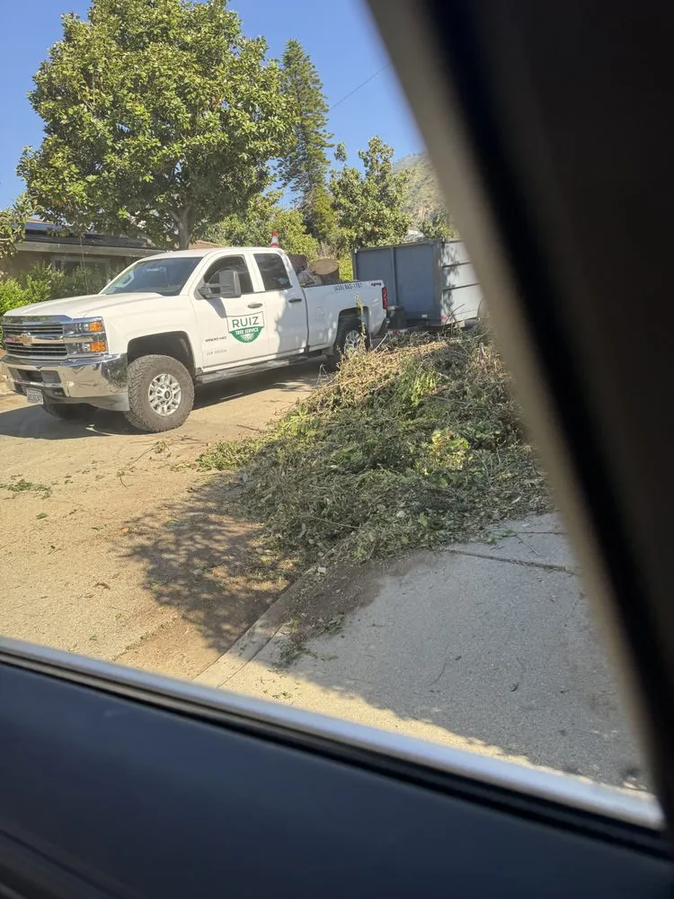 Trusted lawn care service experts serving San Gabriel, CA - Ruiz Tree And Concrete Service