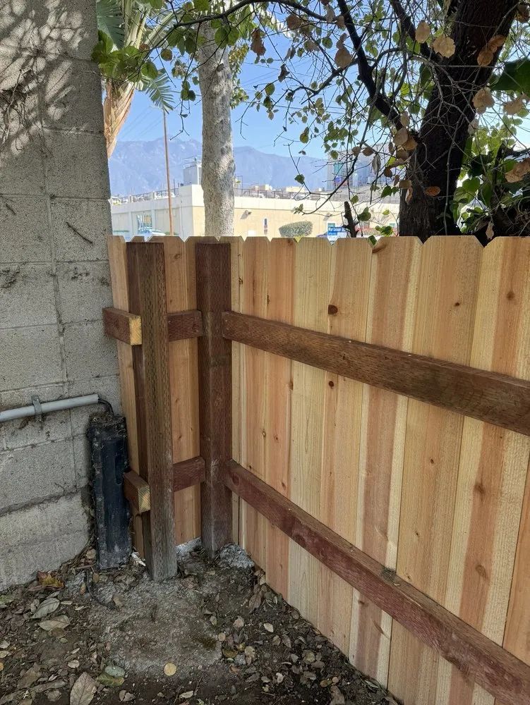 Trusted yard cleanup service experts serving San Gabriel, CA - Ruiz Tree And Concrete Service