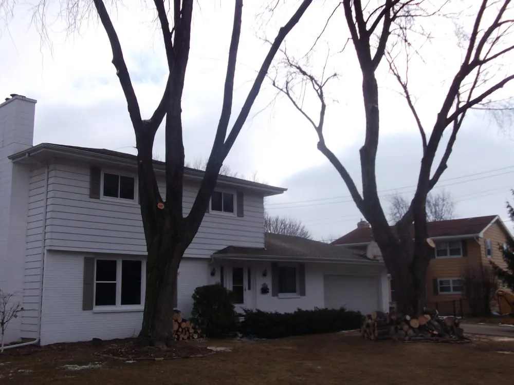 Reliable yard cleanup service experts serving Neenah, WI - Ruiz Tree Service