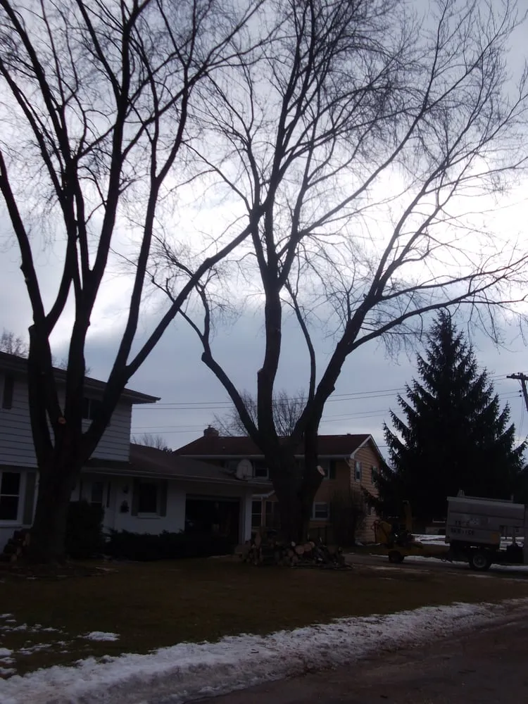 Reliable yard cleanup service in Neenah, WI by Ruiz Tree Service