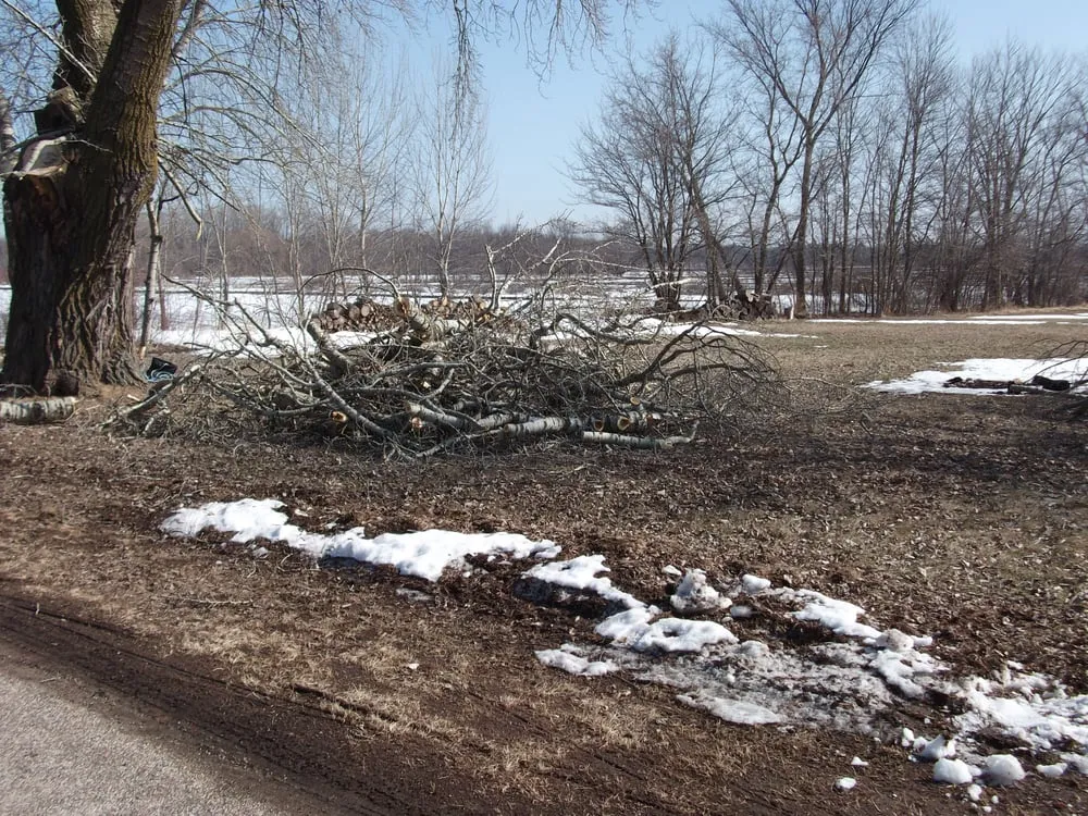 Top-rated landscape design experts serving Neenah, WI - Ruiz Tree Service