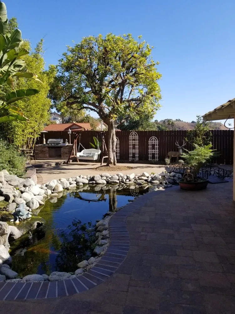 Top-rated lawn care service in Covina, CA by Ruiz's Construction & Landscaping