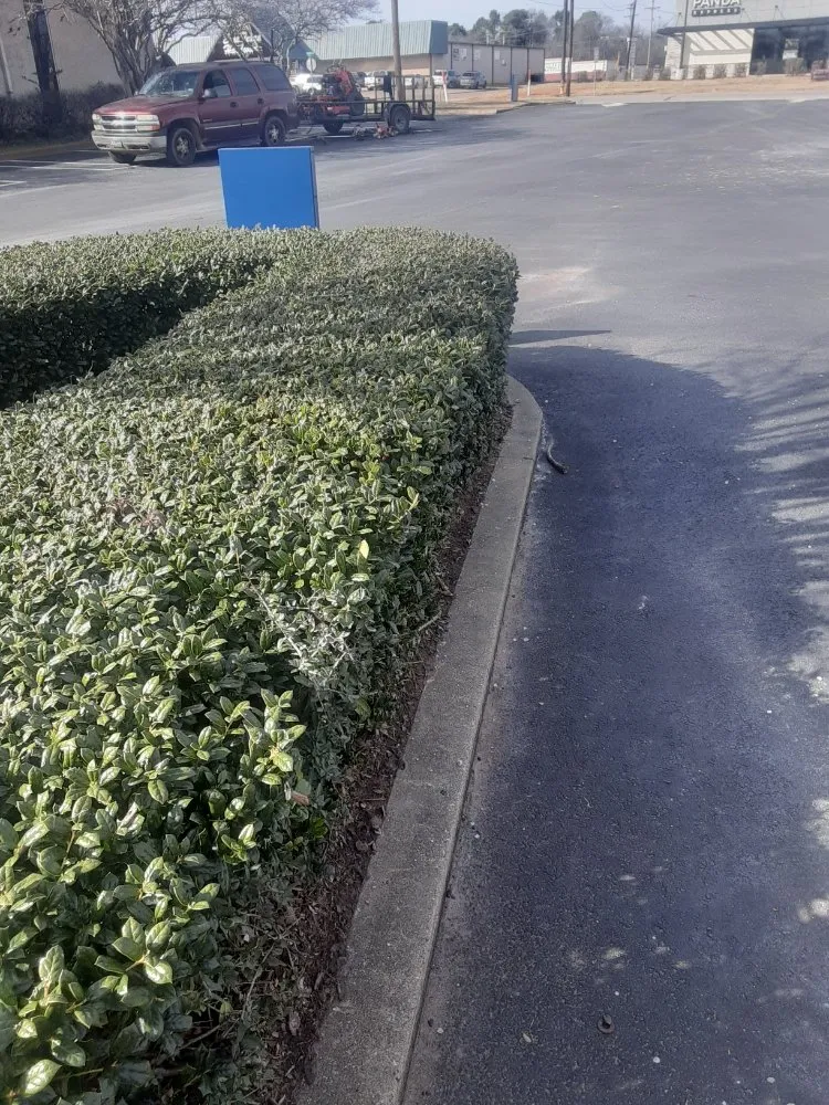 Custom residential landscaping experts serving Athens, TX - Rukken Land Grooms