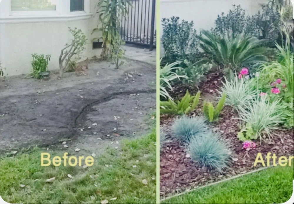 Professional landscape installation experts serving Marietta, GA - RulerSolutions