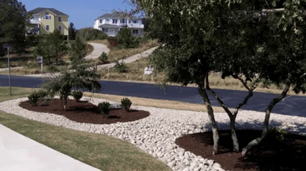 Professional yard cleanup service experts serving Kitty Hawk, NC - Rumaldo Landscape & Tree Service