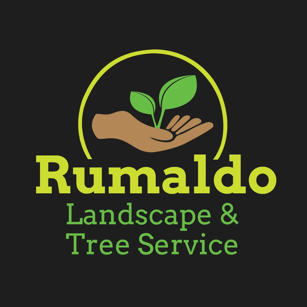 Top-rated yard maintenance in Kitty Hawk, NC by Rumaldo Landscape & Tree Service