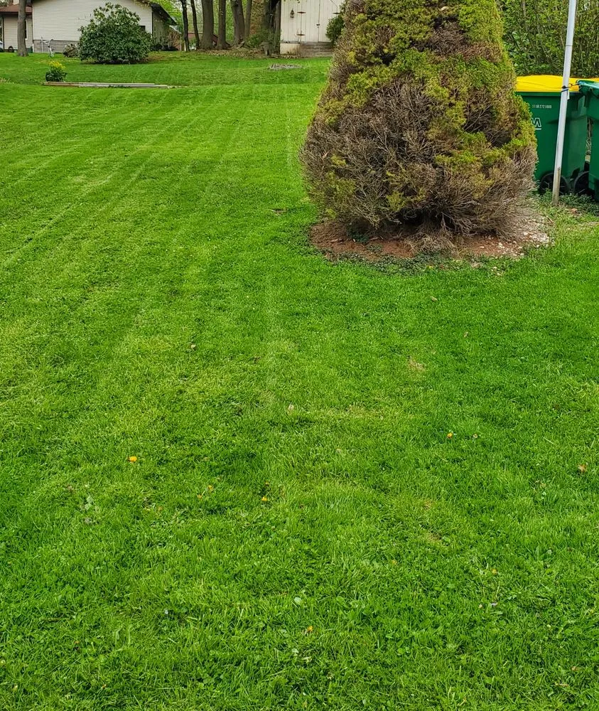 Reliable lawn mowing service experts serving Butler, PA - Rumbaugh Lawn Services