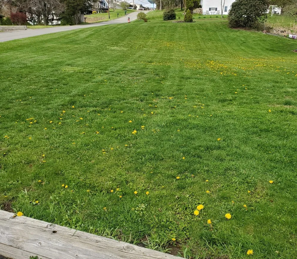 Expert garden landscaping for outdoor upgrades in Butler, PA by Rumbaugh Lawn Services