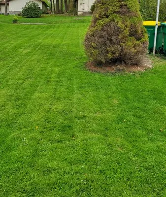 Rumbaugh Lawn Services Logo