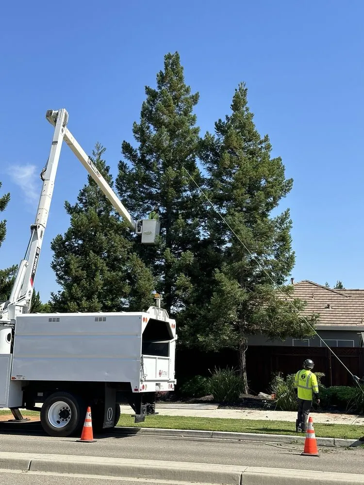 Expert outdoor landscaping in Modesto, CA by Rumble Tree & Turf