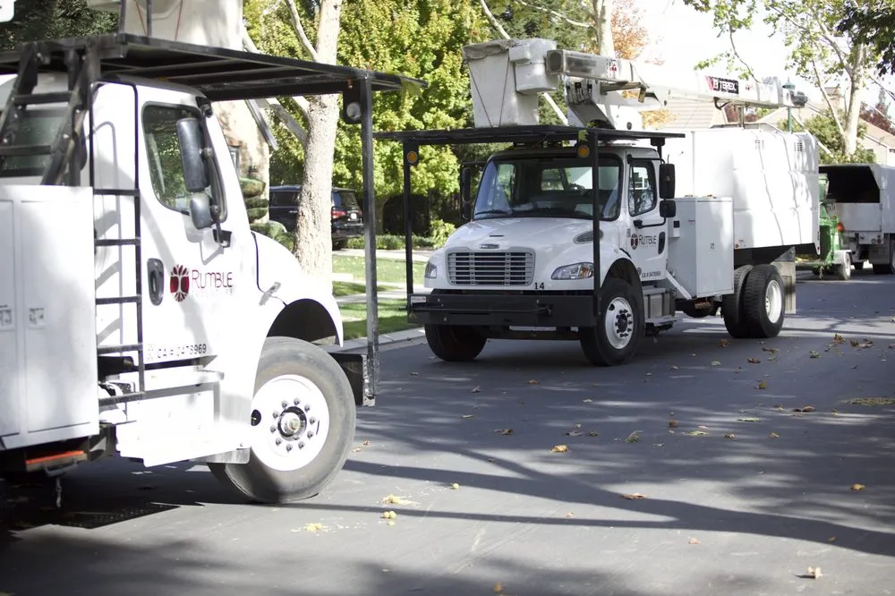 Professional landscape design for beautiful yards in Modesto, CA by Rumble Tree & Turf