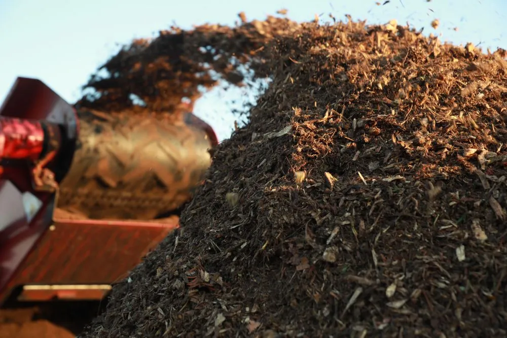 Professional landscaping services experts serving Modesto, CA - Rumble Tree & Turf