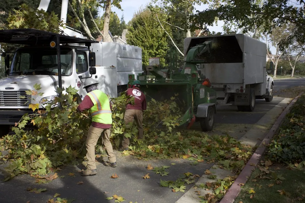 Local outdoor landscaping for residential properties across Modesto, CA - Rumble Tree & Turf