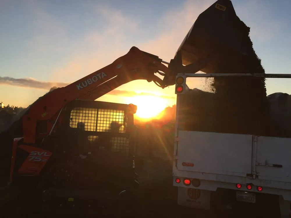 Professional lawn care service in Modesto, CA - Rumble Tree & Turf