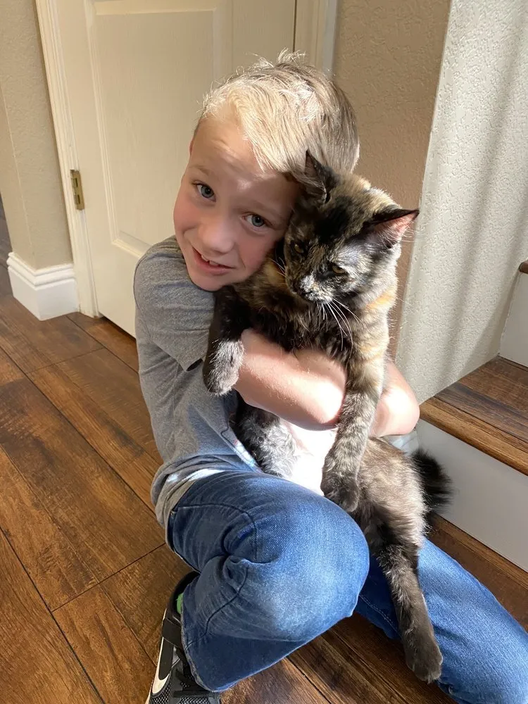 Custom landscape installation in Modesto, CA - Rumble Tree & Turf