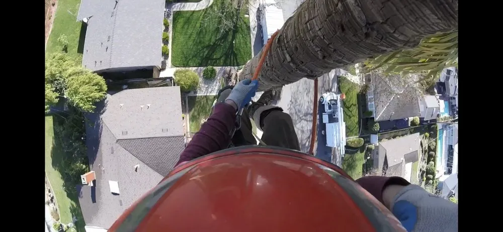 Expert lawn mowing service for year-round maintenance in Modesto, CA by Rumble Tree & Turf