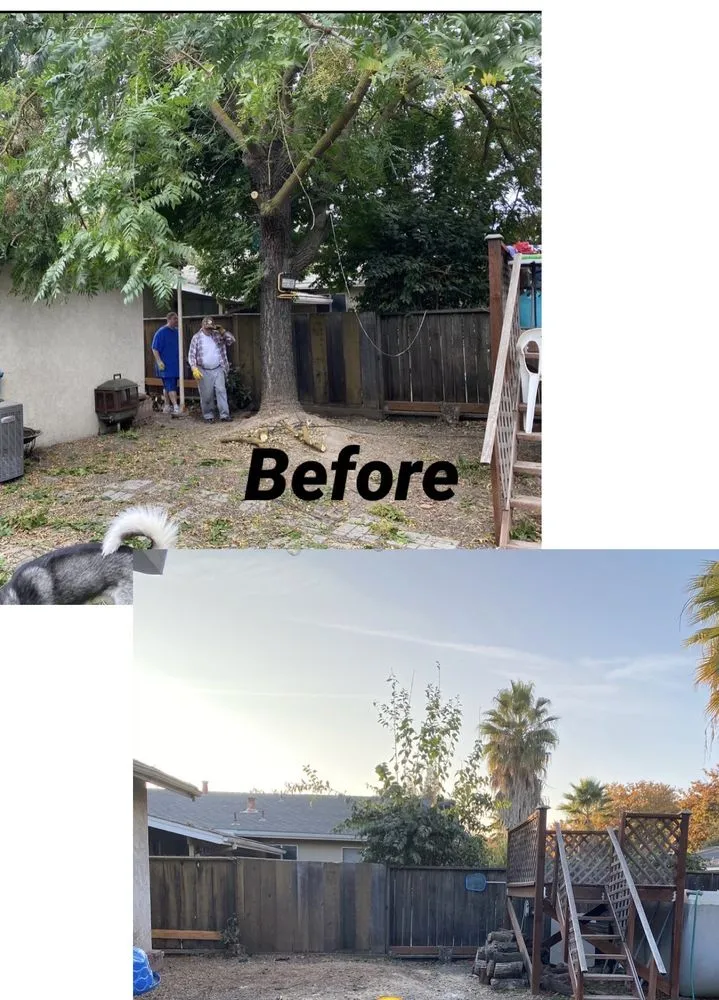 Custom yard maintenance for beautiful yards across Modesto, CA - Rumble Tree & Turf