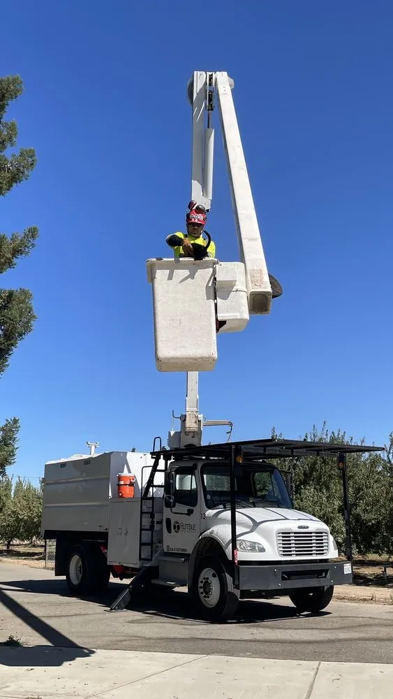 Affordable landscape design near you across Modesto, CA - Rumble Tree & Turf