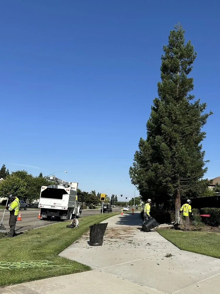 Top-rated landscape installation in Modesto, CA - Rumble Tree & Turf