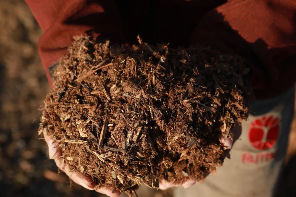 Reliable garden landscaping with custom design in Modesto, CA by Rumble Tree & Turf