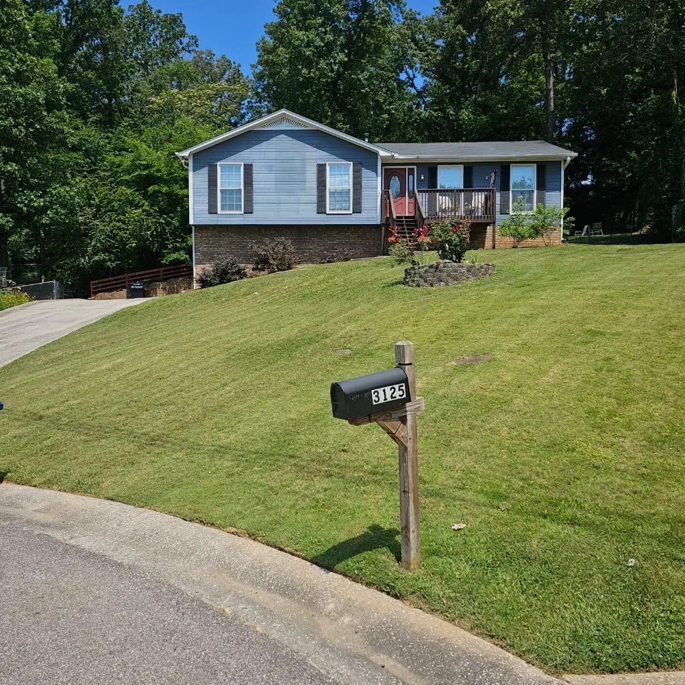 Local yard cleanup service in Moody, AL - Rumley Precision Lawns