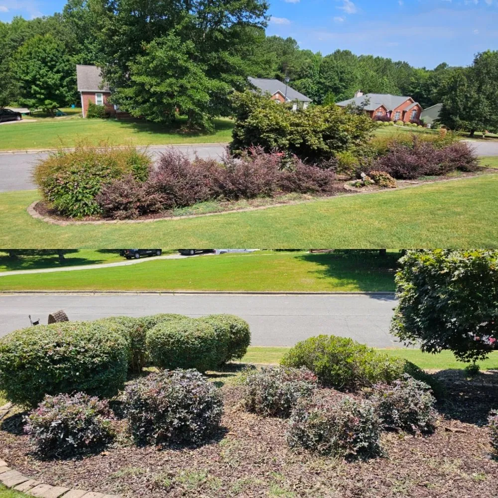 Expert landscape installation experts serving Moody, AL - Rumley Precision Lawns