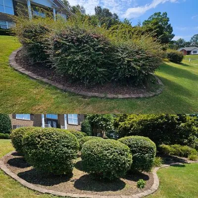 Rumley Precision Lawns