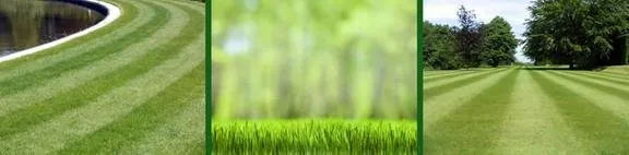 Expert landscape design in Lima, OH - Runkel Landscape Associates