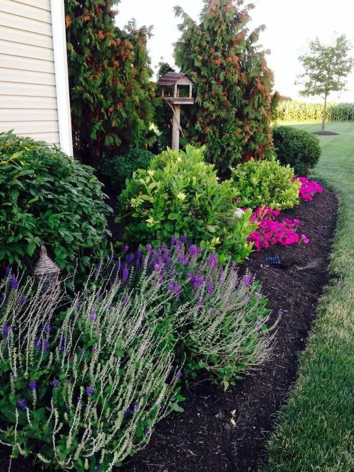 Trusted landscaping services experts serving Lima, OH - Runkel Landscape Associates