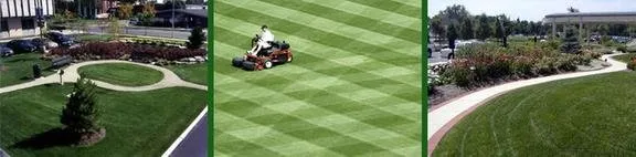 Custom landscape design in Lima, OH by Runkel Landscape Associates