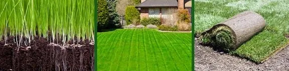 Trusted yard maintenance in Lima, OH - Runkel Landscape Associates
